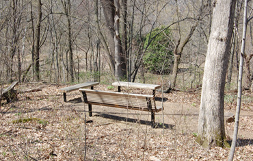 Ken Avery Birding Terrace - Springtime