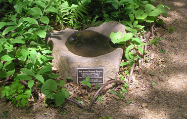 Avery bird bath