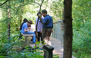 Boardwalk Bridge alternate view