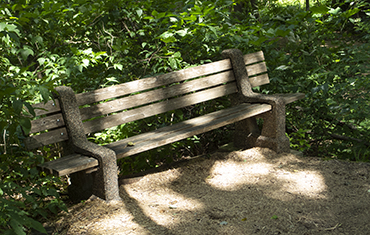 Grimes Bench