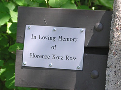 koss plaque