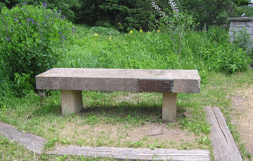 Odell Bench in the Prairie