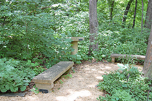 Odell Memorial Benches