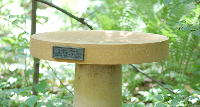 new bird bath basin