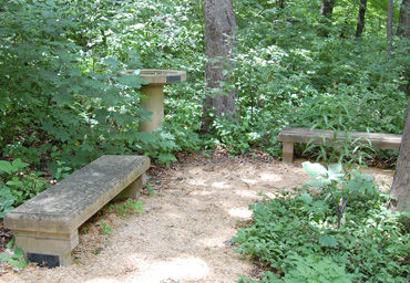Patio Benches for  Clinton Odell