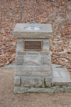Witt Fountain