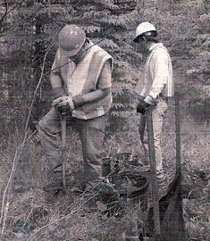 Ladys-slipper rescue