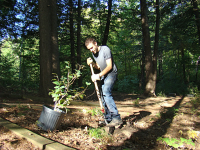 Tree Planting 2008