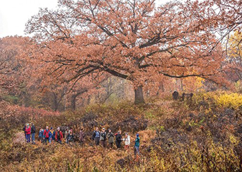 Fall birders in Garden