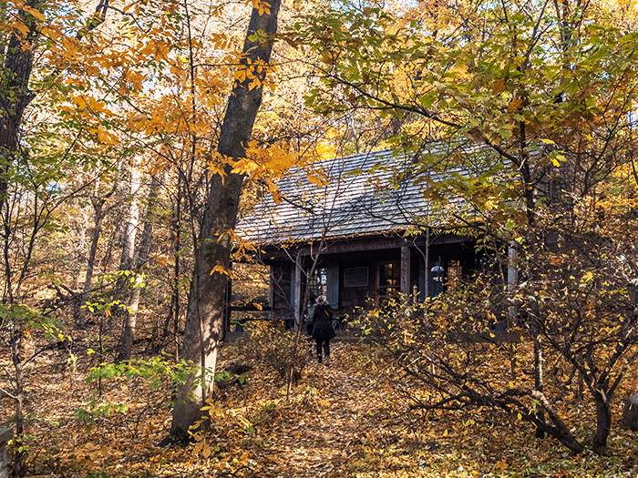 Crone Shelter in October