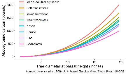 Carbon storage Graph
