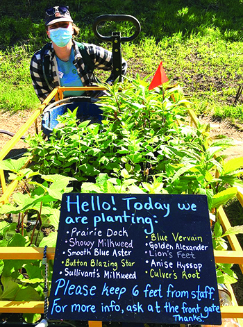 Garden staff planting project