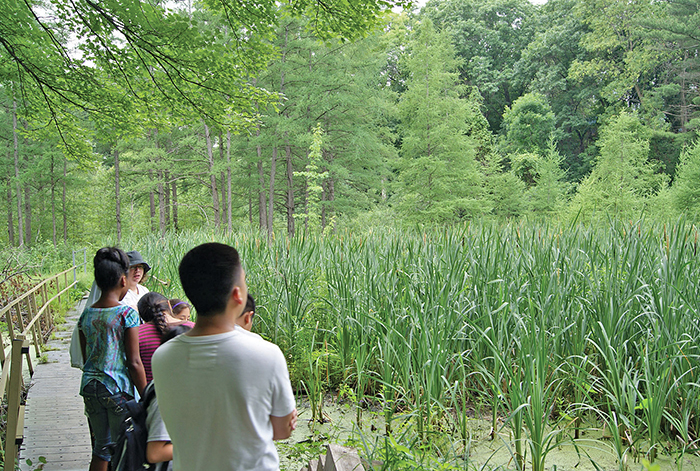 Students in the bog