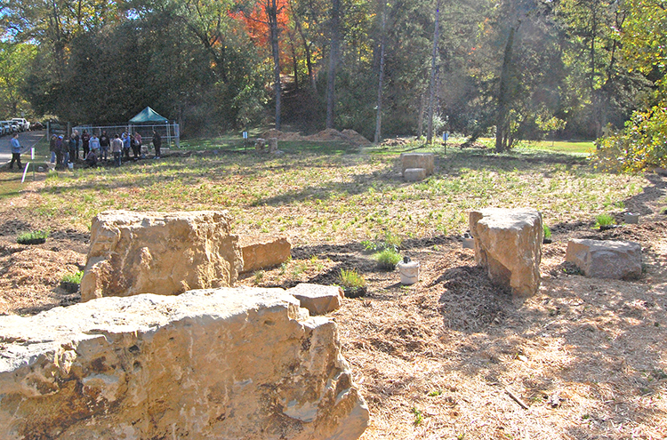 new pollinator meadow