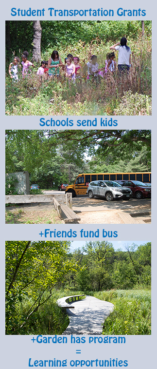 transportation graphic