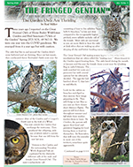 thumbnail of front page