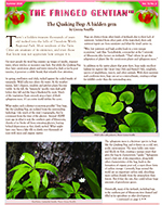 thumbnail image of newsletter