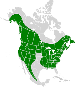 map of little brown bat range
