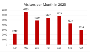 chart of monthly visitors