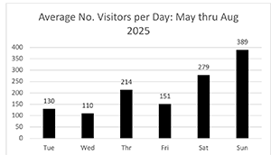 chart of daily visitors