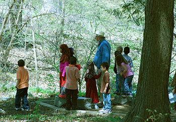 Kids in the wetland