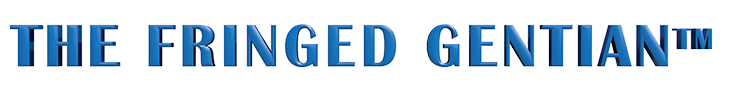 masthead
