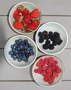 Fresh fruit