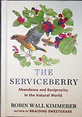 Service berry book cover